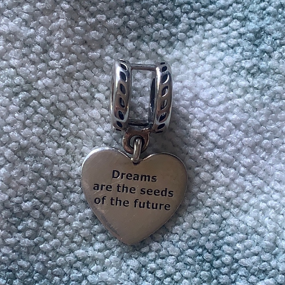 Heart “Dreams are the seeds of the future”